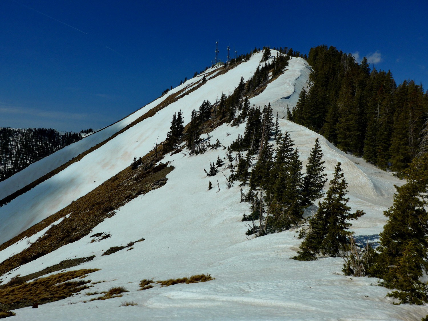 Summit of 3448 meters high Abajo Peak